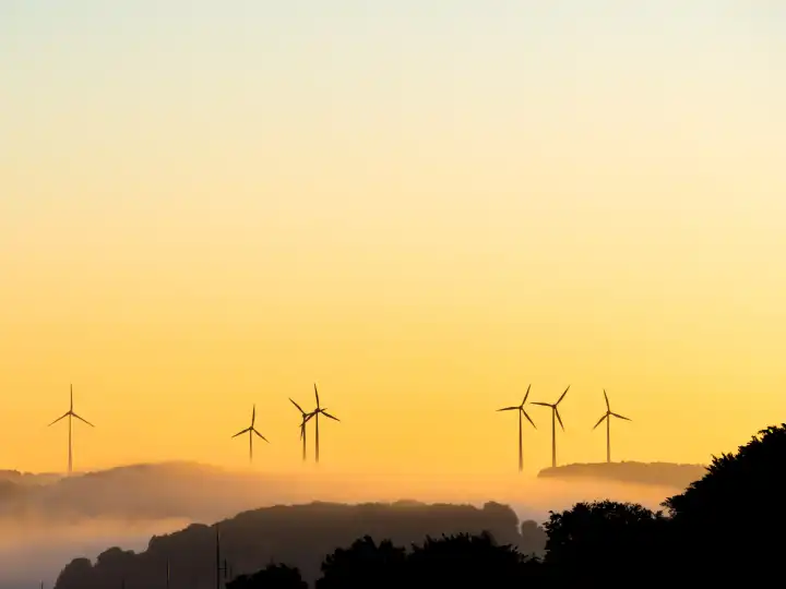 Wind turbines in the morning in fog at sunrise
