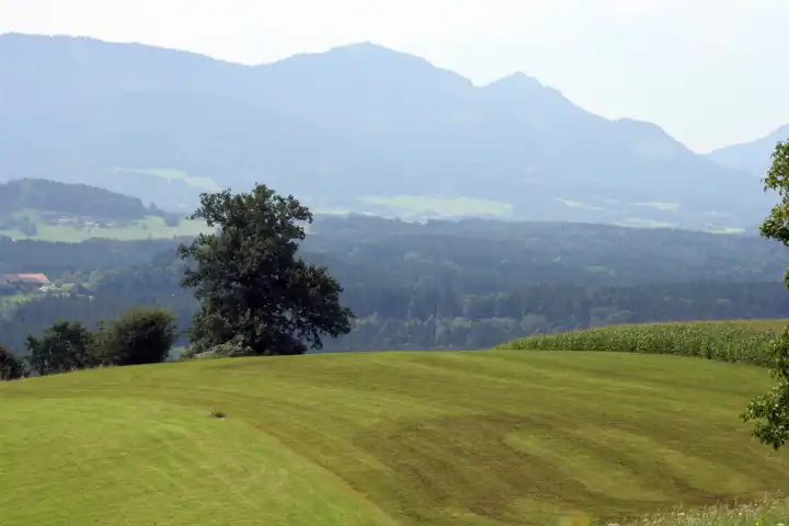 Blick auf die bayerischen Alpen von der Ratzinger Höhe
