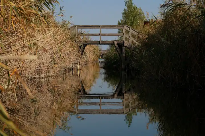 Holzbrücke über Kanal im Schilfgürtel am Neusiedlersee