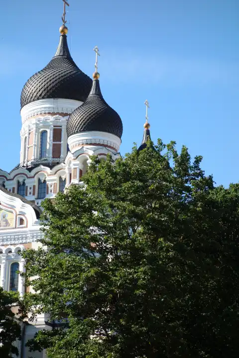 Tallinn, Estland - July 28, 2015 Alexander-Newski-Cathedral