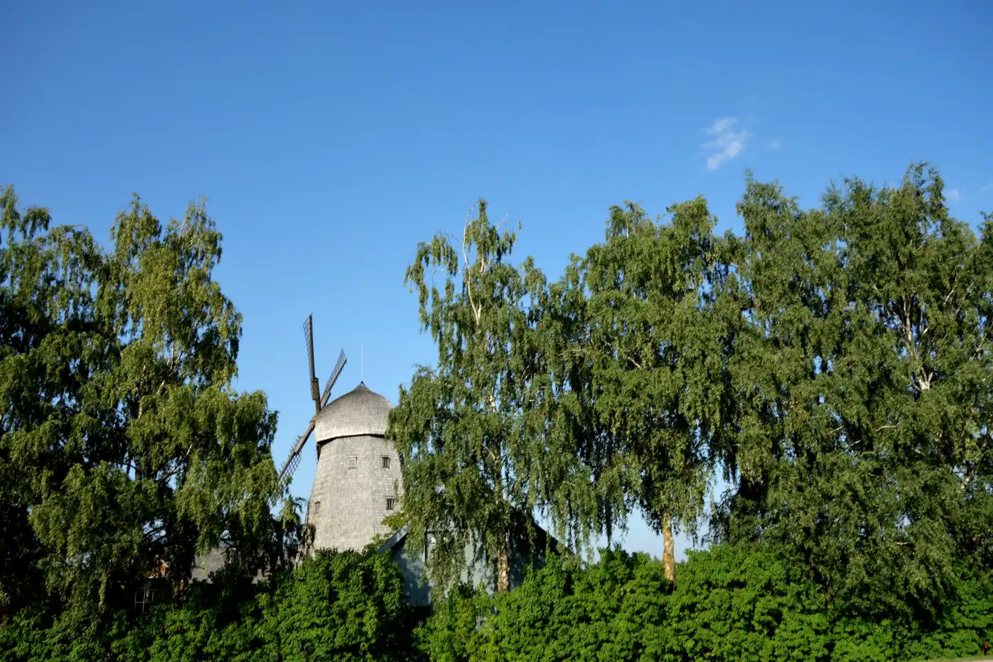 Windmill in birch forest in the Baltics