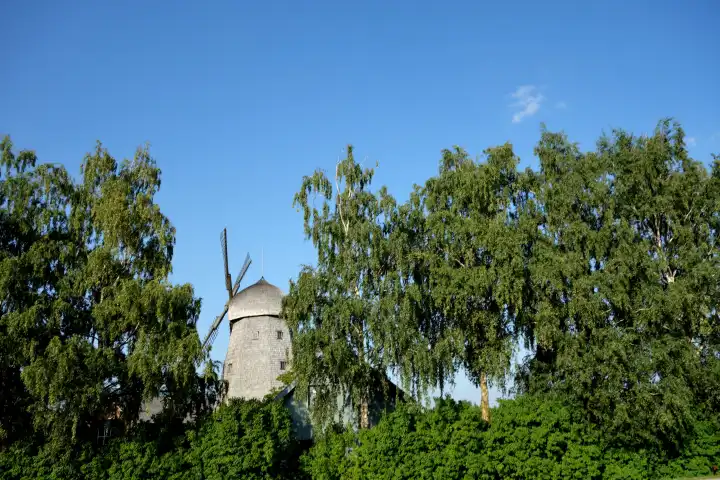 Windmühle in Birkenwald im Baltikum