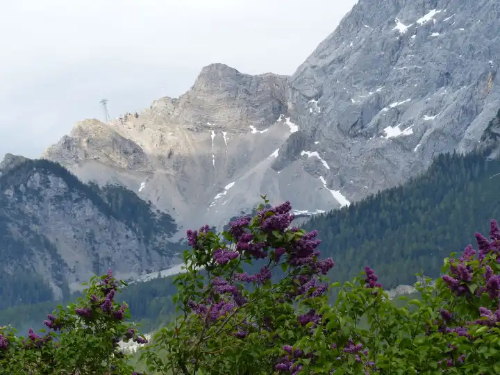 Zugspitze von österreichischer Seite, Tirol, Österreich, Europa