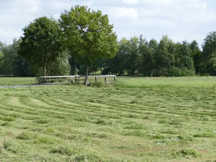 Haymaking in Upper Franconia