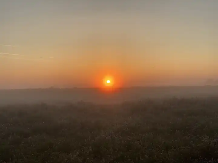 Sonnenaufgang in der Mehlinger Heide bei Kaiserslautern in der Pfalz, Rheinland-Pfalz, Deutschland