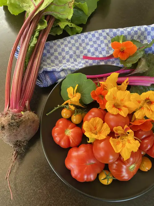 Organic vegetables, harvest from own garden