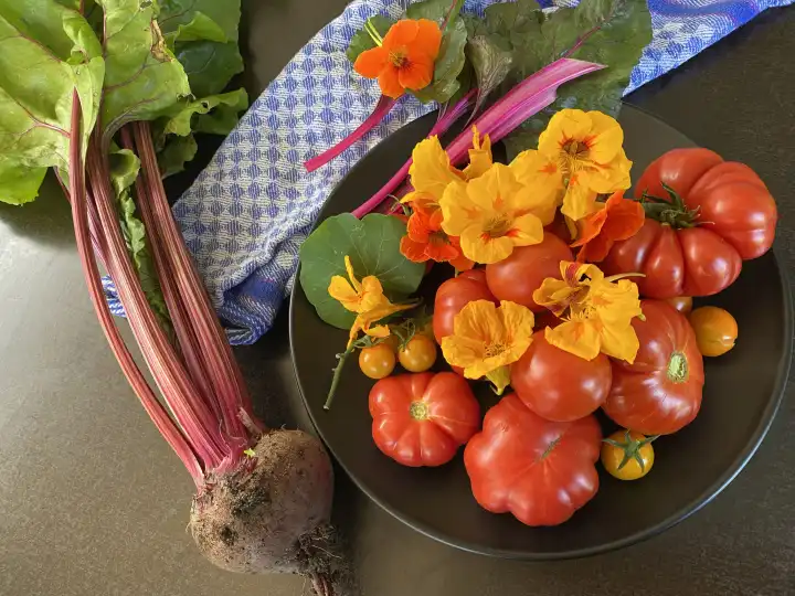 Organic vegetables, harvest from own garden