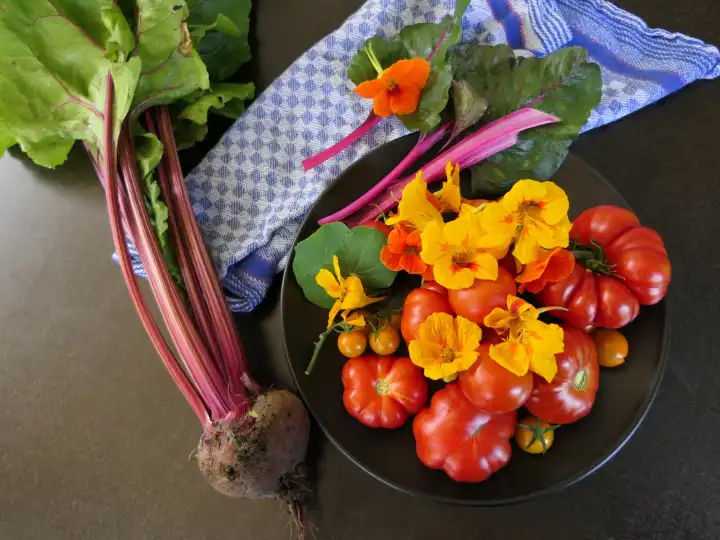 Organic vegetables harvest from own garden