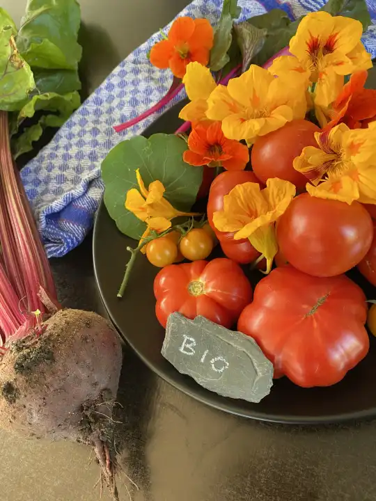 Organic vegetables harvest from your own garden