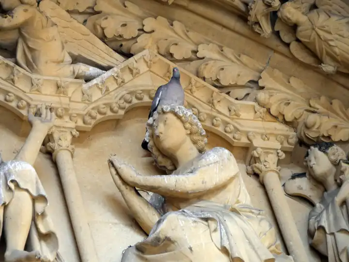 Taube sucht Schutz auf dem Haupt einer Figur an der Außenfassade der Kathedrale St. Etienne, Metz, Frankreich