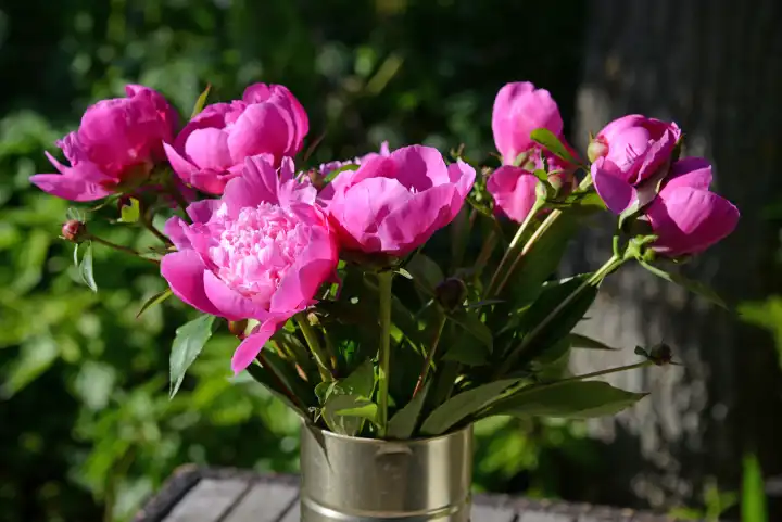 A bouquet of peonies in vase