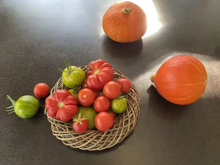 Biogemüse aus dem eigenen Garten, Hokkaidos und Tomaten