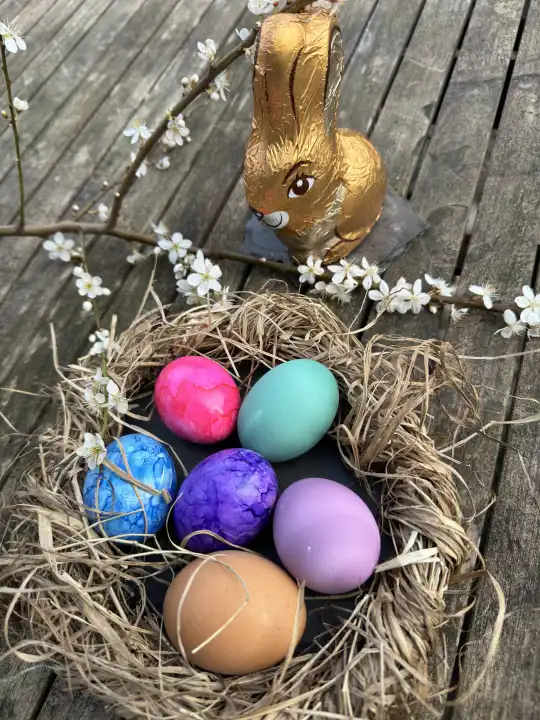Easter, Easter nest with colorful eggs