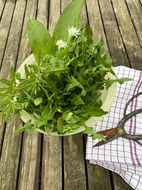 Wild herbs and edible flowers for wild herb salad