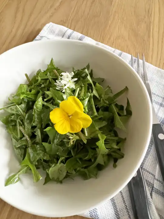 Wild herb salad with edible flower