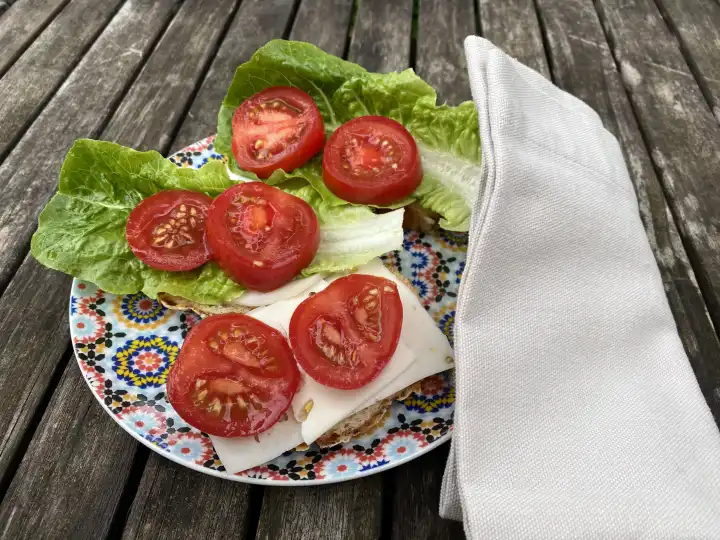 Dinner with cheese sandwich, tomato slices, salad leaves