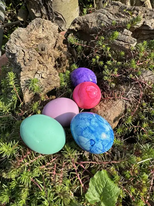 Easter, colorful Easter eggs, Easter nests hidden in the garden
