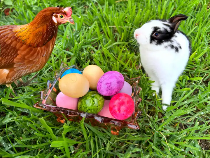 Mit KI generiertes eigenes Bild, Ostern, Henne und Hase überlegen, wer von beiden für die bunten Ostereier zuständig ist. Hase und Henne sind mit KI ergänzt