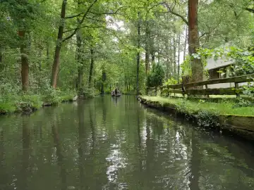 Spreewald Fließ im Frühsommer, Brandenburg, Deutschland