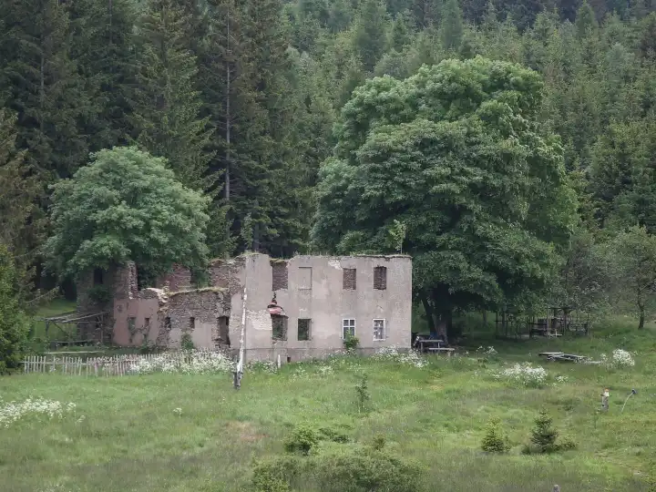 Ruin in the abandoned village of King's Mill in today's Czech Republic in summer 2023