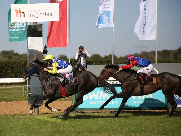 Jockey Maxim Pecheur wins the 4th race on the mare No Stoopping Her in front of rider Shuichi Terachi on the gelding Nero Imerator on 09.09.2023 at the racecourse Magdeburg.