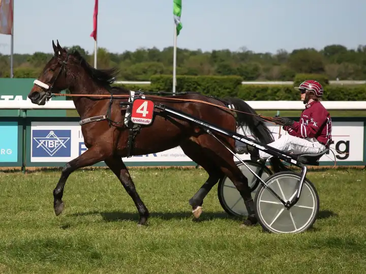 Trotting driver Sarah Kube with Dixiechick Hanover before the 4th race Preis der Gartenstadt GWG Reform at Magdeburg-Herrenkrug racecourse on 09.05.2024