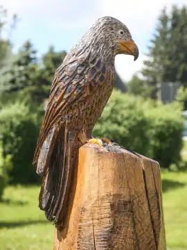 View of a wooden red kite in Altenberg in summer 2024