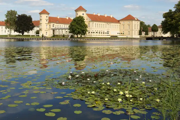Schloss Reinsberg mit Seerosen auf dem See davor.
