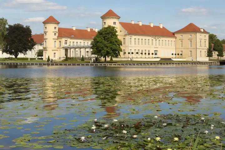Schloss Reinsberg mit Seerosen auf dem See davor.