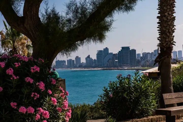 Blick auf Tel Aviv von der Hafenstadt Jaffa aus