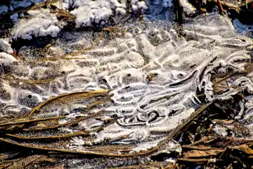 Ice On A Creek