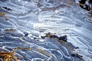 Ice On A Creek