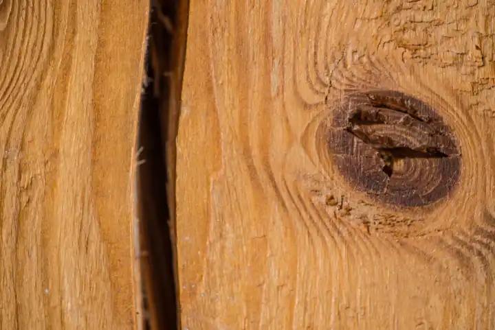 old plank with crack and knothole