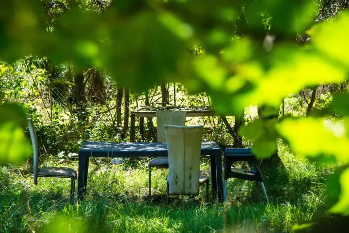 Versteckter Sitzplatz in einem Garten mit Tisch und Stühlen