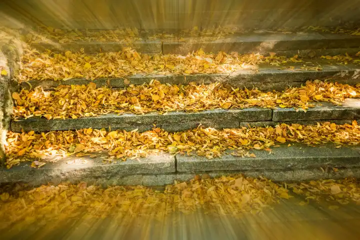 Herbstlich bemalte Blätter, weiche Ansicht mit scharfer Mitte