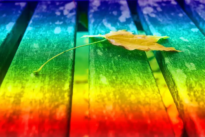 herbstlich bemaltes Ahornblatt auf einer Parkbank in LGBTQ-Farben
