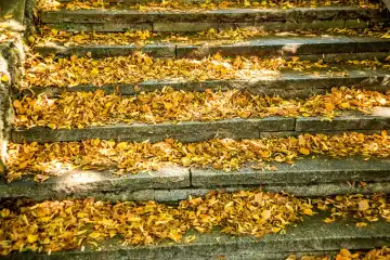 Herbstlich bemalte Blätter auf der Treppe