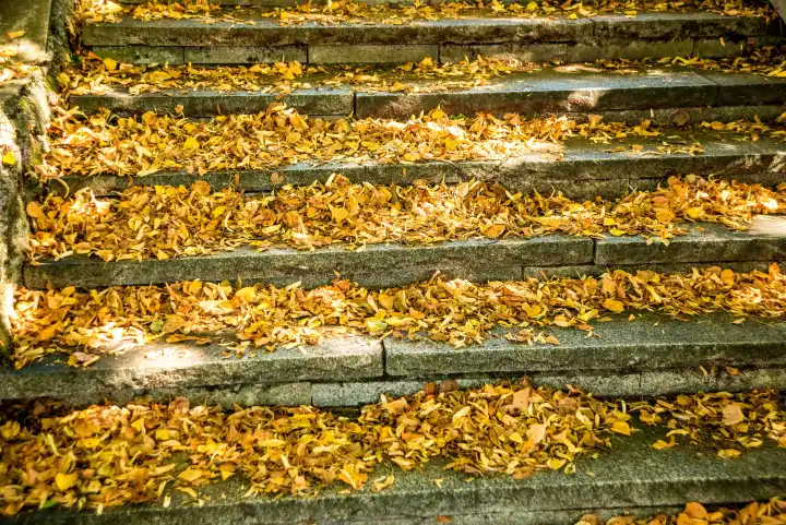 Herbstlich bemalte Blätter auf der Treppe