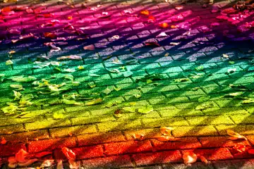 autumal bemalte Blätter auf einer Straße in LGBTQ-Farben