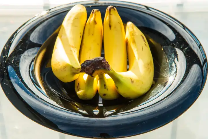 ripe bananas in a black fruit bowl