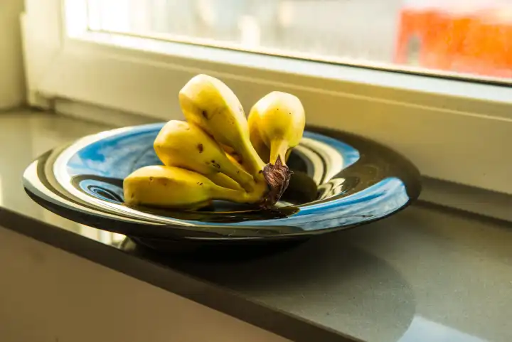 reife Bananen in einer schwarzen Obstschale auf einer Fensterbank