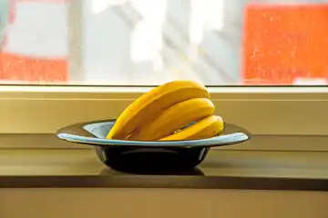 ripe bananas in a black fruit bowl on a window sills