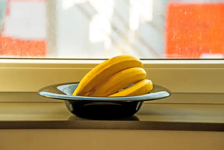 reife Bananen in einer schwarzen Obstschale auf einer Fensterbank