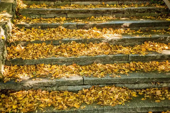 Herbstlich bemalte Blätter auf einer Treppe in der Sonne