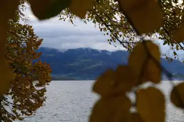 Autumnal mood in Lindau at lake constance, Germany