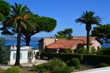Houses under palms in Hyères, provence-alpes-côte d azur, France