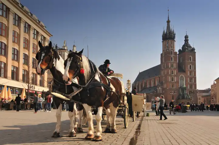 Poland, Krakow, Main Market Square, Horse carriage and St Mary Church