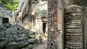 Ruinen der Tempelanlage Ta Prohm, nahe dem Angkor Wat Komplex, Siem Reap, Kambodscha
