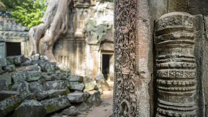 Ruins of the Ta Prohm temple complex, near the Angkor Wat complex, Siem Reap, Cambodia