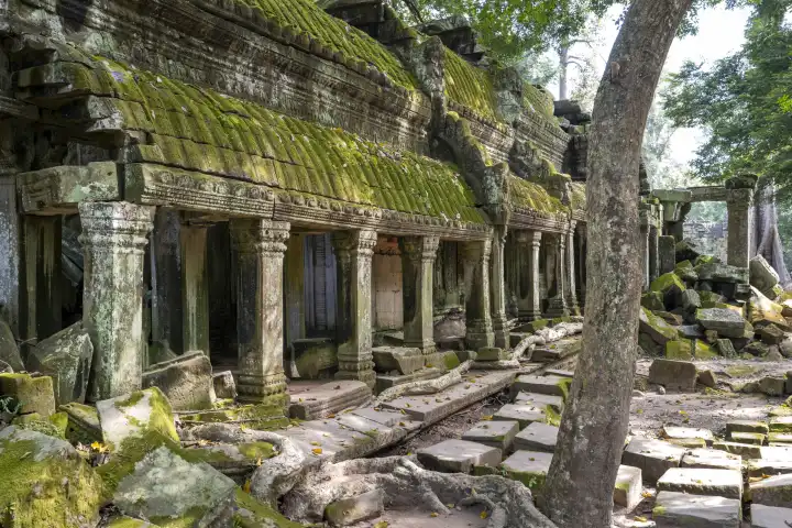 Ruins of the Ta Prohm temple complex, near the Angkor Wat complex, Siem Reap, Cambodia